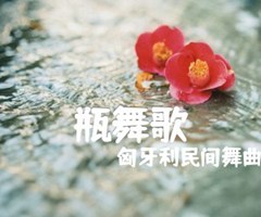 瓶舞歌吉他谱_匈牙利民间舞曲_D调_原版指弹吉他简谱