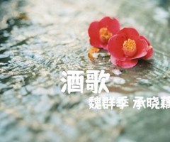 酒歌吉他谱_魏群季 承晓藕_D调_原版指弹吉他简谱