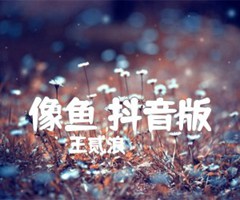 像鱼 抖音版吉他谱_王贰浪_G调_原版弹唱吉他简谱