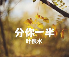 分你一半吉他谱_叶恨水_G调_原版弹唱吉他简谱