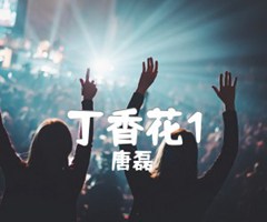 丁香花1吉他谱_唐磊_原版弹唱吉他简谱