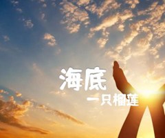 海底吉他谱_一只榴莲_B调_原版弹唱吉他简谱