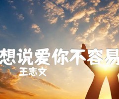 想说爱你不容易吉他谱_王志文_D调_原版指弹吉他简谱