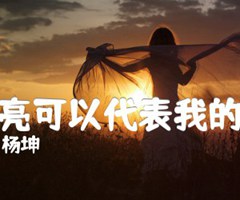 月亮可以代表我的心吉他谱_杨坤_原版指弹吉他简谱