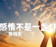 感情不是一盏灯吉他谱_陈晓东_文字谱简谱歌词