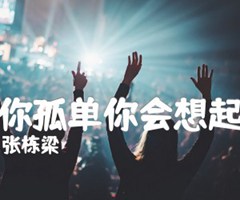 当你孤单你会想起谁吉他谱_张栋梁_原版弹唱吉他简谱