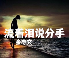 流着泪说分手吉他谱_金志文_C调_原版指弹吉他简谱