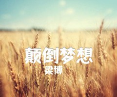 颠倒梦想吉他谱_梁博_G调_原版指弹吉他简谱