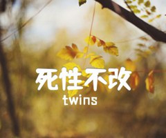 死性不改吉他谱_twins_D调_原版弹唱吉他简谱