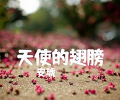 天使的翅膀吉他谱_安琥_原版指弹吉他简谱