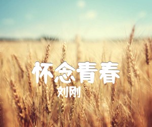 怀念青春吉他谱_旭日阳刚_G调_原版指弹吉他简谱