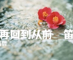 如果再回到从前  （笛箫谱）吉他谱_张镐哲_G调_原版弹唱吉他简谱