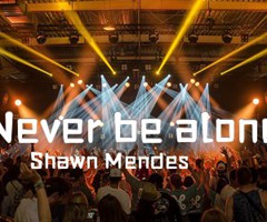 Never be alone吉他谱_Shawn Mendes_F调_原版指弹吉他简谱