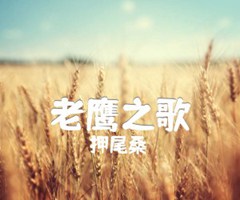 老鹰之歌吉他谱_押尾桑_独奏_原版弹唱吉他简谱