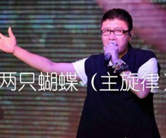 两只蝴蝶（主旋律）吉他谱_庞龙_原版指弹吉他简谱