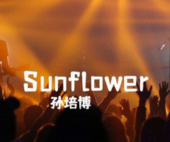 Sunflower吉他谱_孙培博_原版吉他简谱