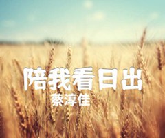 陪我看日出吉他谱_蔡淳佳_C调_原版弹唱吉他简谱