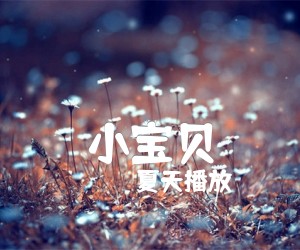 小宝贝吉他谱_夏天播放__C调六线谱完整版_C调_原版弹唱吉他简谱