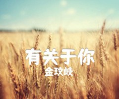 有关于你吉他谱_金玟岐_原版指弹吉他简谱