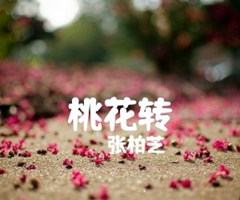 桃花转吉他谱_张柏芝_F调_原版指弹吉他简谱