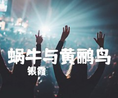 蜗牛与黄鹂鸟吉他谱_银霞_原版指弹吉他简谱