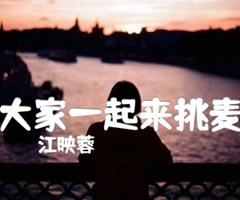 大家一起来挑麦吉他谱_江映蓉_C调_原版指弹吉他简谱