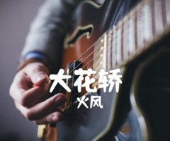 大花轿吉他谱_火风_G调_原版弹唱吉他简谱