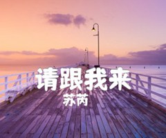 请跟我来吉他谱_苏芮_原版弹唱吉他简谱