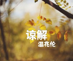 谅解吉他谱_温兆伦_原版弹唱吉他简谱