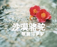 沙漠骆驼吉他谱_展展与罗罗_原版指弹吉他简谱