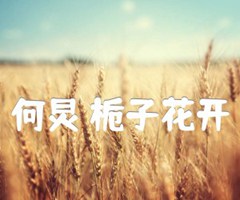 何炅 栀子花开吉他谱_何炅_D调_原版弹唱吉他简谱