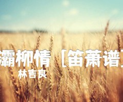 灞柳情  [笛萧谱]吉他谱_林吉良_C调_原版指弹吉他简谱