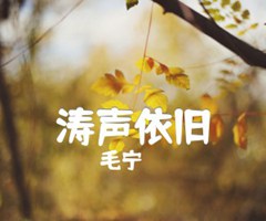 涛声依旧吉他谱_毛宁_G调_原版指弹吉他简谱