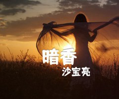 暗香吉他谱_沙宝亮_D调_原版指弹吉他简谱