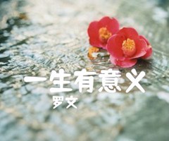 一生有意义吉他谱_罗文_C调_原版指弹吉他简谱