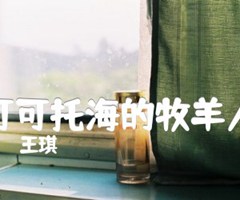 可可托海的牧羊人吉他谱_王琪_G调_原版指弹吉他简谱