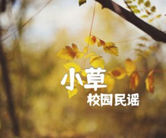 小草吉他谱_校园民谣_简单版_C调_原版弹唱吉他简谱