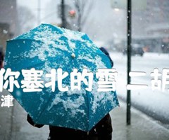 我爱你塞北的雪 二胡曲谱吉他谱_刘锡津_B调_原版指弹吉他简谱