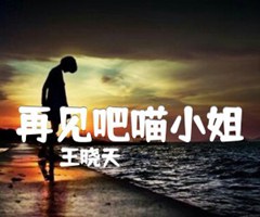 再见吧喵小姐吉他谱_王晓天_C调_原版弹唱吉他简谱