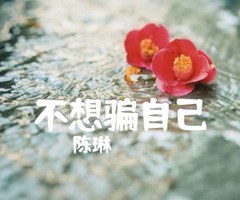 不想骗自己吉他谱_陈琳_原版指弹吉他简谱