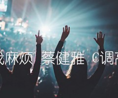 别找我麻烦 蔡健雅 C调高清谱吉他谱_群星_C调_原版指弹吉他简谱