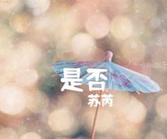 是否吉他谱_苏芮_D调_原版弹唱吉他简谱