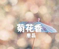 菊花香吉他谱_唐磊_D调_原版弹唱吉他简谱