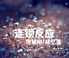 连锁反应吉他谱_陈慧娴/林忆莲_原版吉他简谱