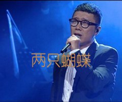 两只蝴蝶吉他谱_庞龙_G调_原版弹唱吉他简谱