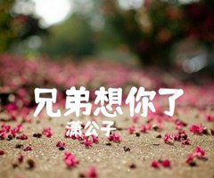 兄弟想你了吉他谱_潇公子_E调_原版弹唱吉他简谱