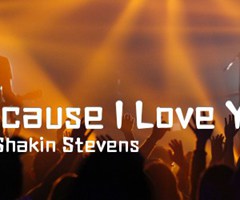 Because I Love You吉他谱_Shakin Stevens_原版弹唱吉他简谱