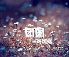 团圆吉他谱_刘媛媛_G调_原版弹唱吉他简谱