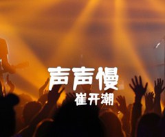 声声慢吉他谱_崔开潮_C调_原版指弹吉他简谱