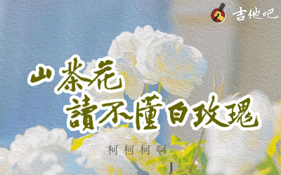 柯柯柯啊《山茶花读不懂白玫瑰》吉他谱-吉他吧